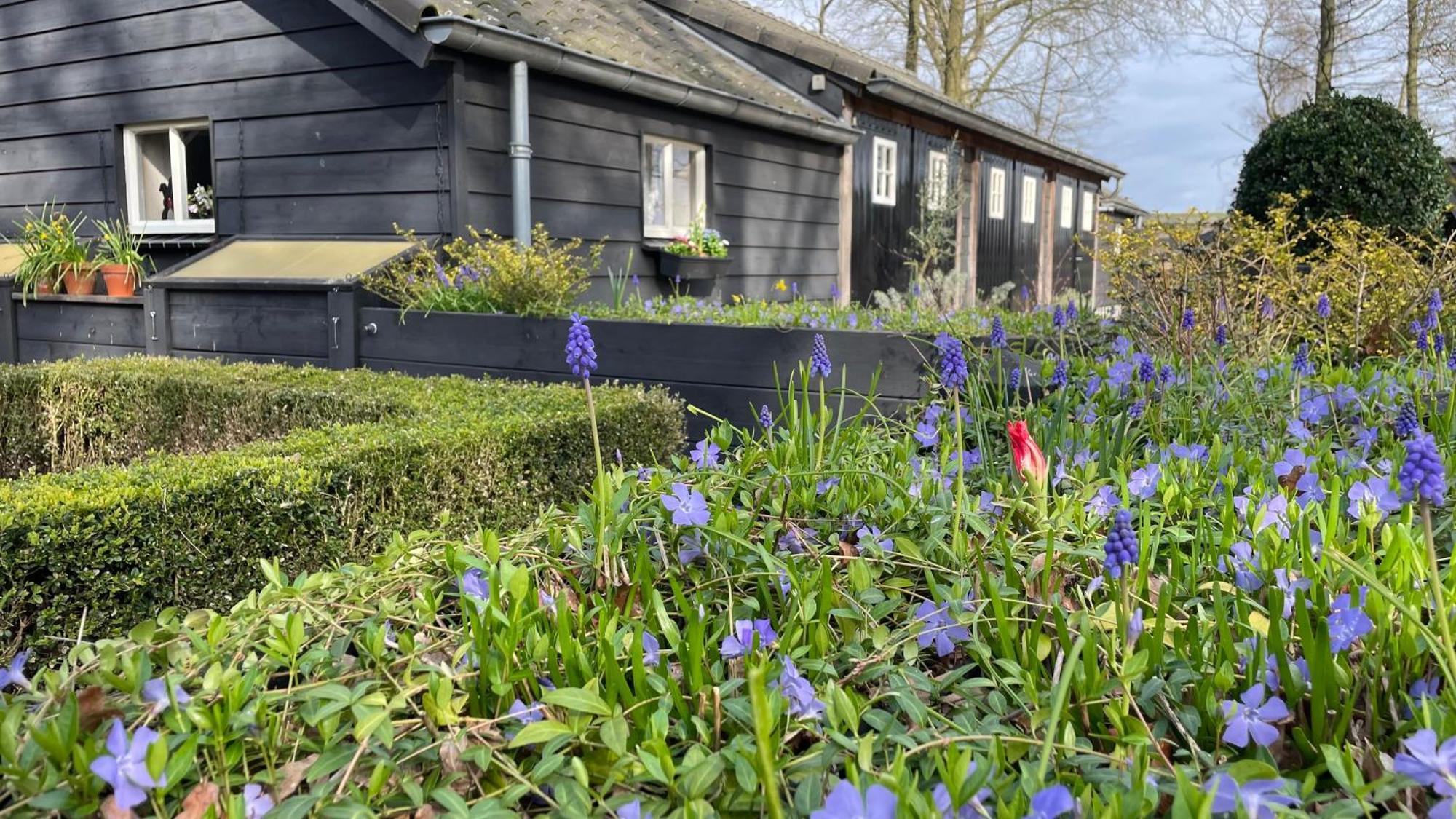 Hoeve Bij Vosselen อัสเตอ ภายนอก รูปภาพ
