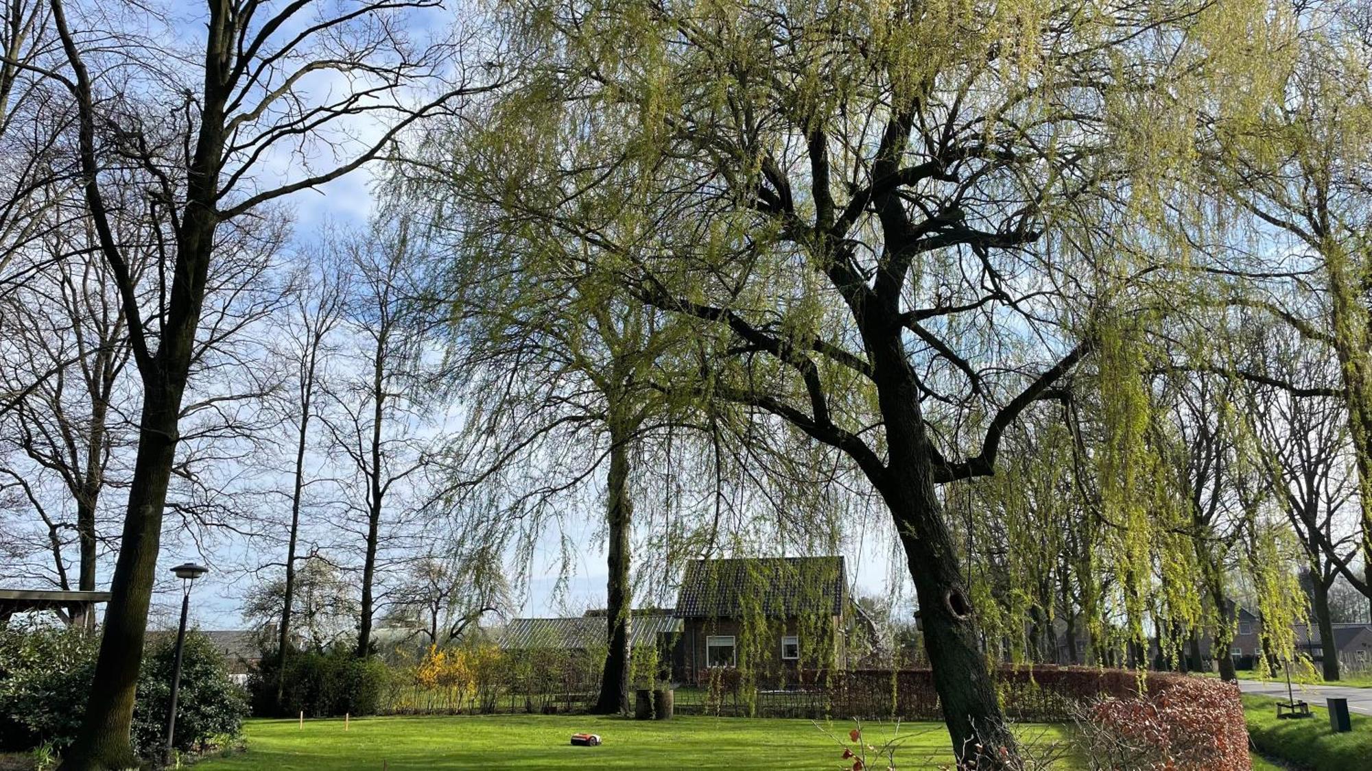 Hoeve Bij Vosselen อัสเตอ ภายนอก รูปภาพ